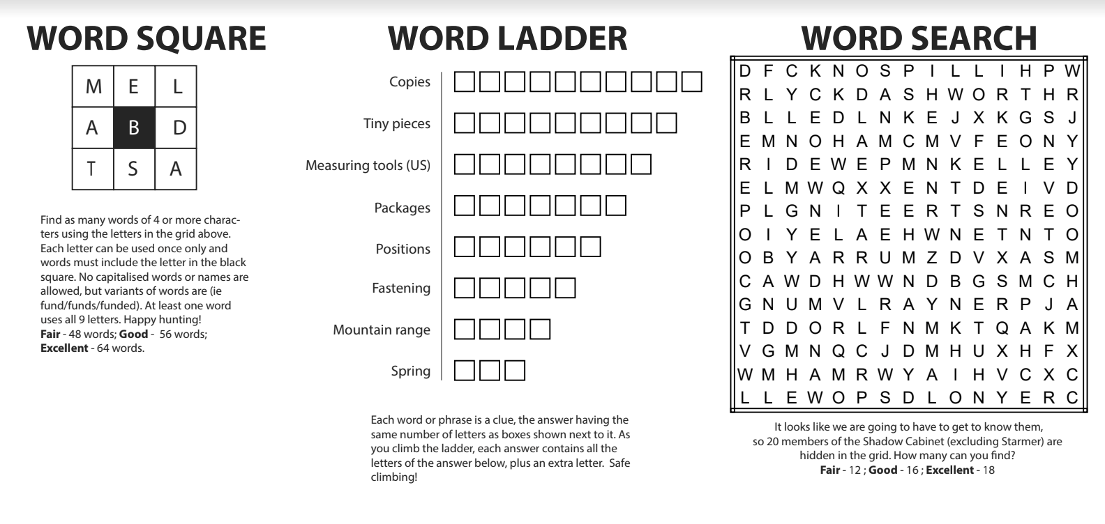 January Puzzles – Byline Times