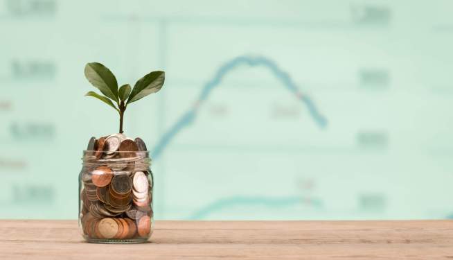 Experts Call for Increased Scrutiny of Green Financial Products Created by Citi and BNP Paribas