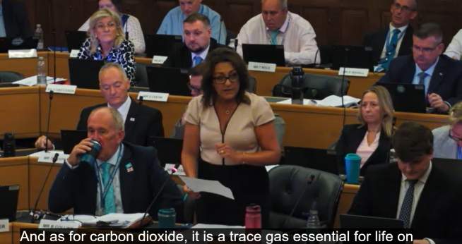 Reform Council Leader Denies Climate Change Crisis After Record Heat Deaths