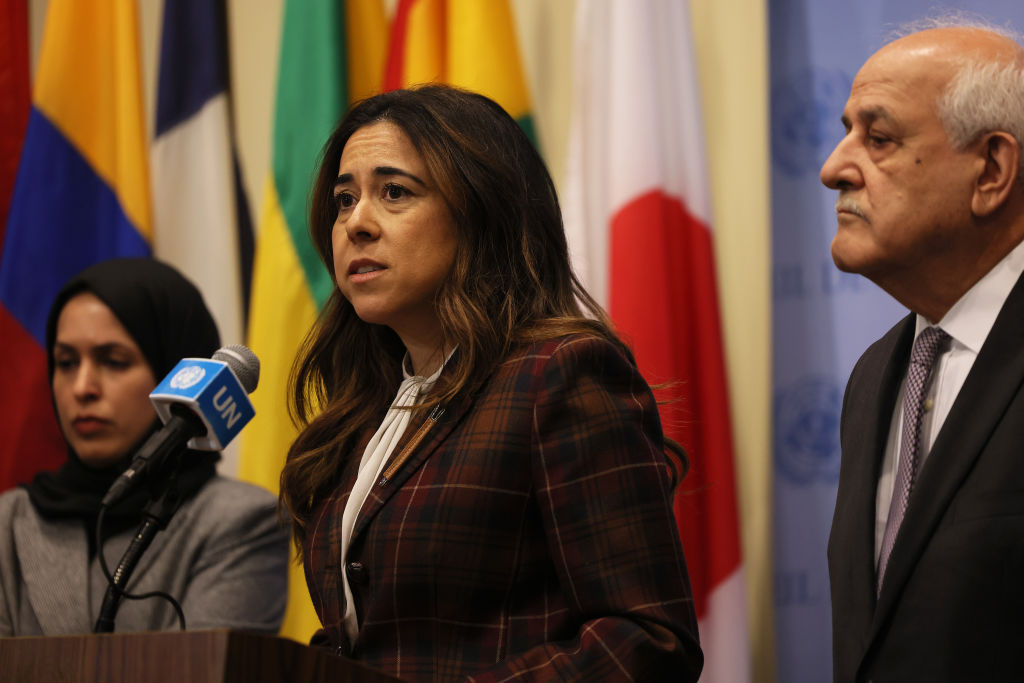 Rights groups and diaspora denounce UAE nominee Lana Nusseibeh for UN secretary-general