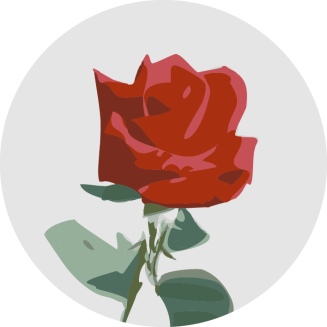 a rose, but not quite the Labour rose